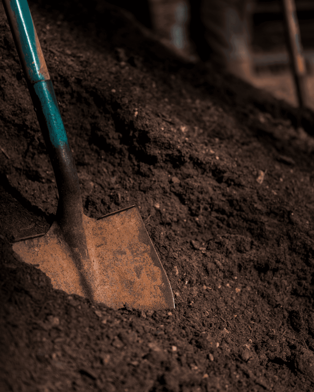 A shovel breaking into soil