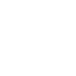 Wolffe logo